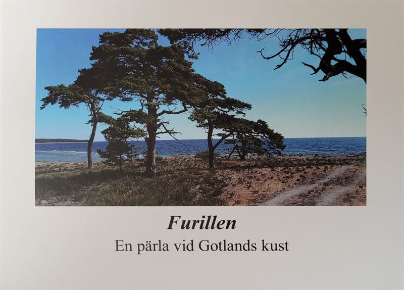 Furillen En pärla vid Gotlands kust