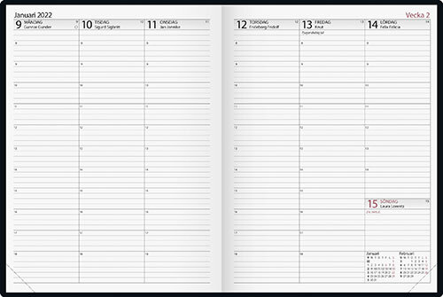 Journal Brun FSC