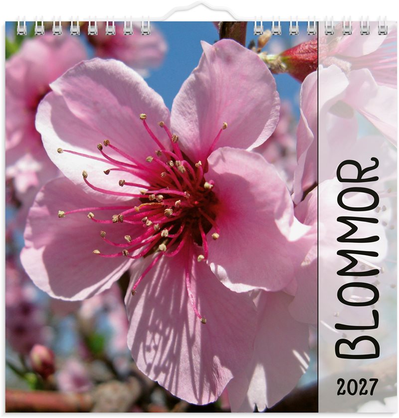 Väggkalender 2027 Blommor