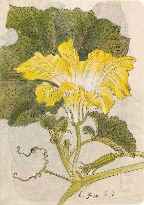 Japanese Squash Blossom Lined Paperback Journal