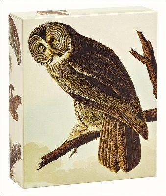 Audubon Owls Quicknotes : QuickNotes