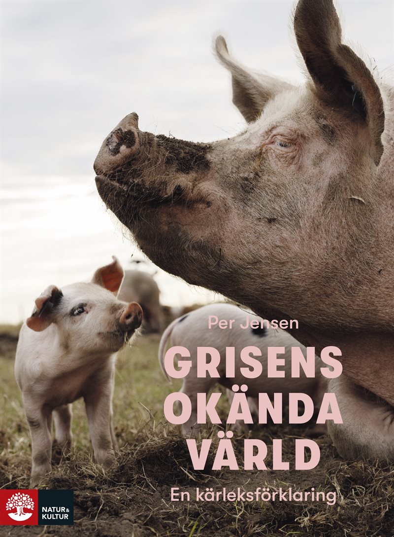 Grisens okända värld : En kärleksförklaring