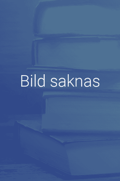 Socialrättens grunder : Socialtjänstens juridik i praktiken