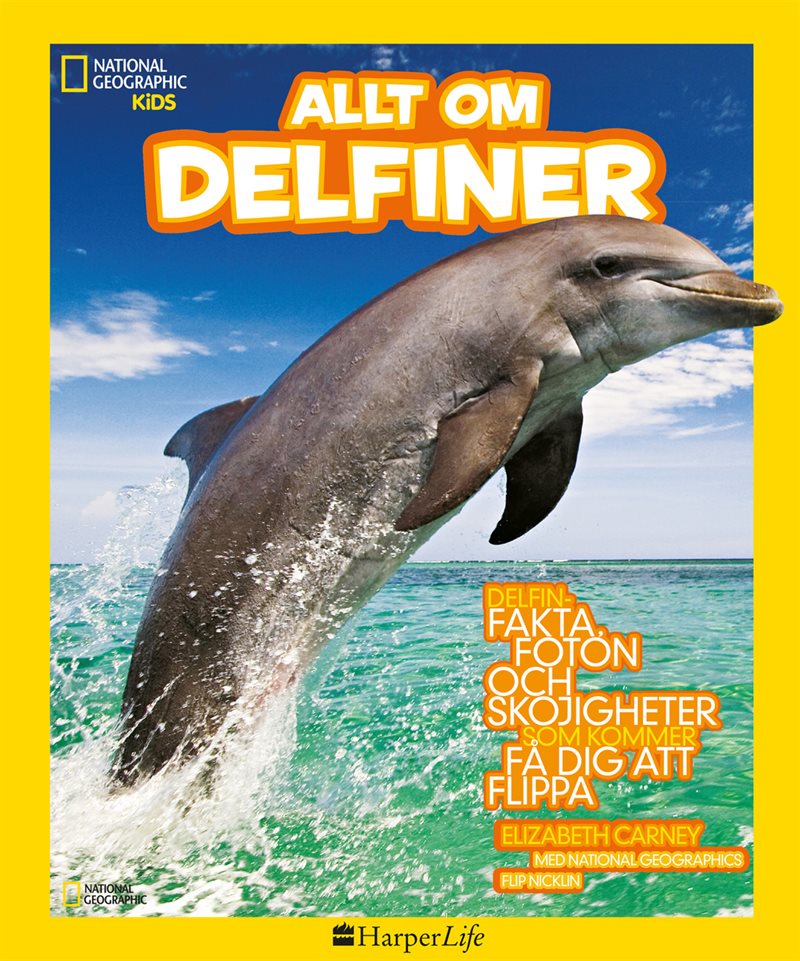 Allt om delfiner