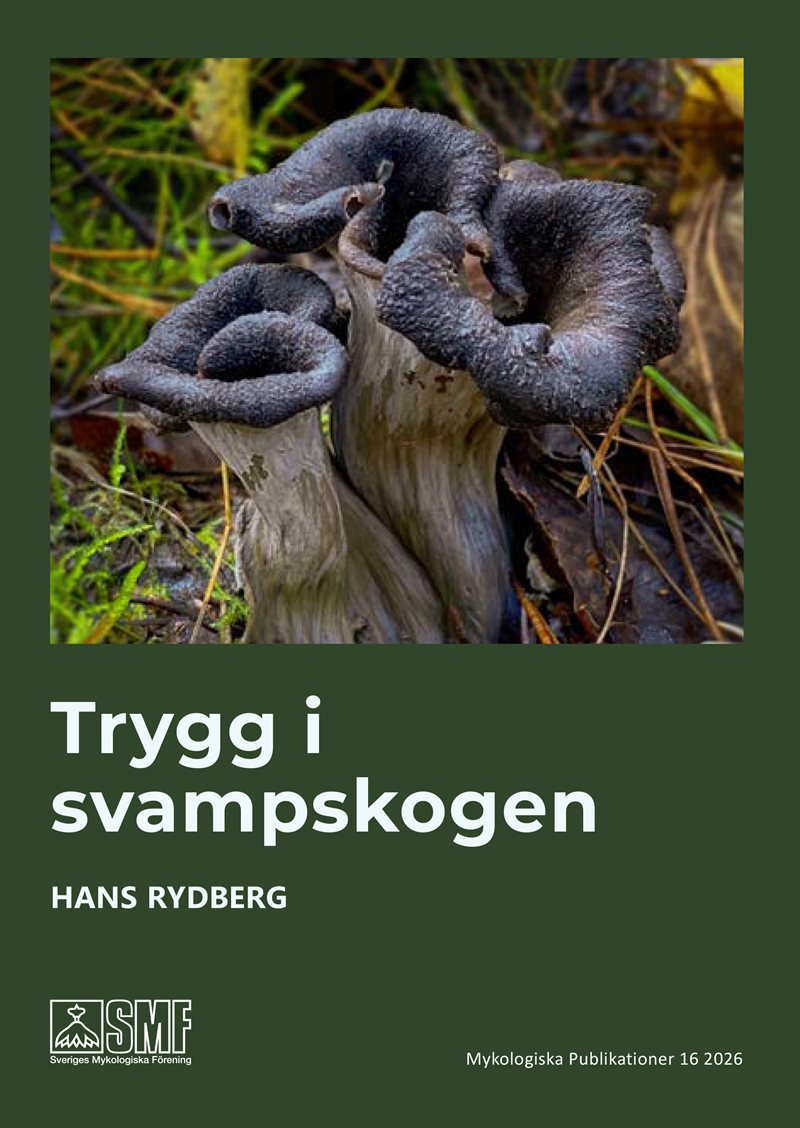 Trygg i svampskogen