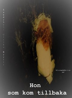 9789177738619_1