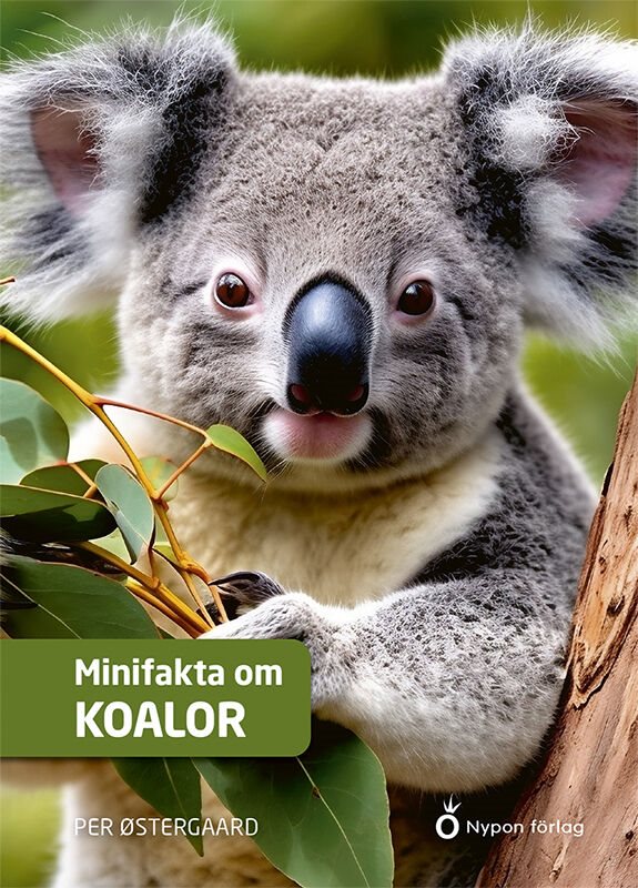 Minifakta om koalor