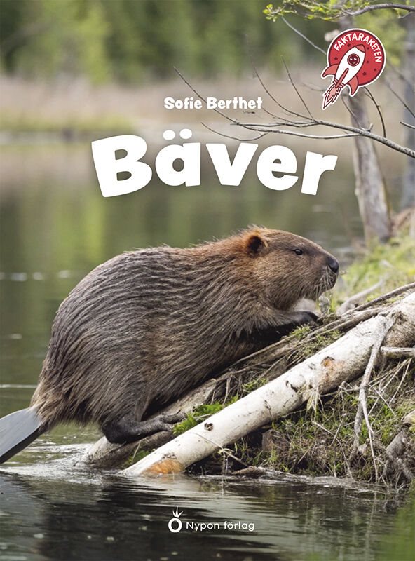 Bäver
