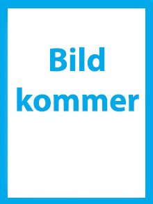 Ett bristande omdöme