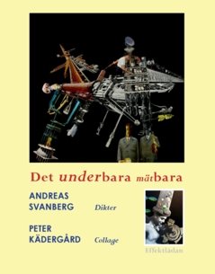 Det underbara mätbara : dikter 