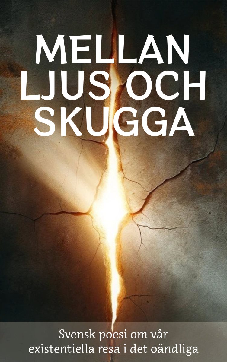 Mellan Ljus och Skugga