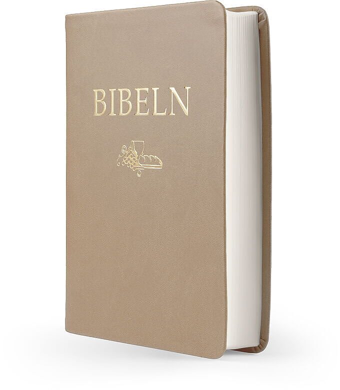 Bibeln SFB 2015, kompakt, brun skinnimitation