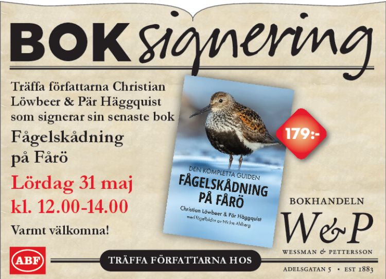 Författarbesök3