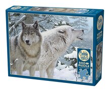 Breath of Winter (500 b) Cobble & Hill
