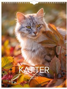 Väggkalender 2027 Stora Kattkalendern