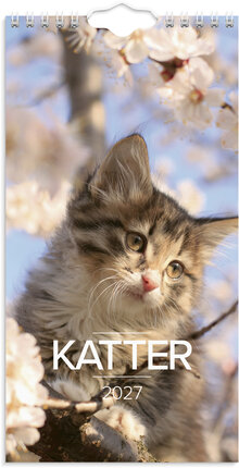 Väggkalender 2027 Liten Kattkalender