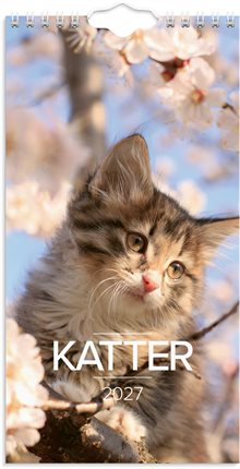 Väggkalender 2027 Liten Kattkalender