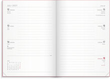 Kalender 2027 Senator A5 Vega rosa
