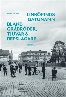 Linköpings gatunamn - Bland gråbröder, tjuvar & repslagare