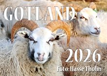 Gotland 2026 tholin